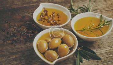 Experience Our Groves